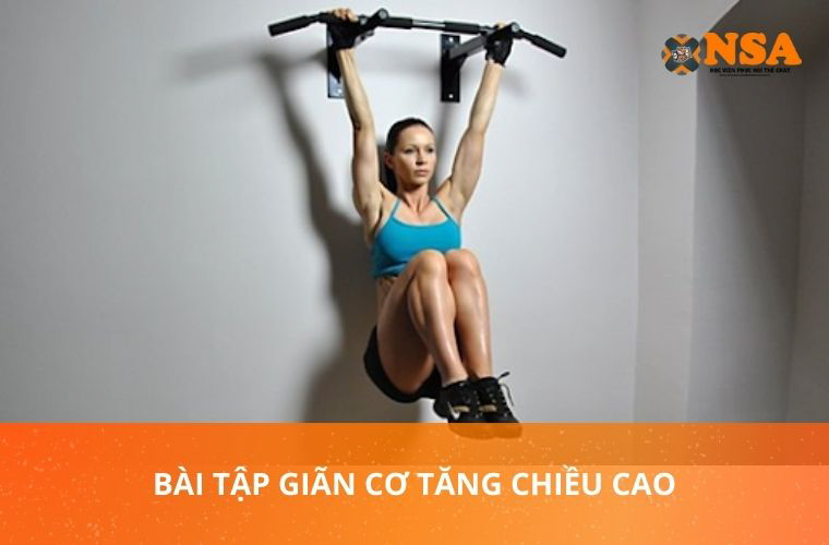 bài tập giãn cơ tăng chiều cao dễ dàng