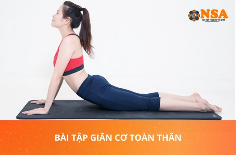 bài tập giãn cơ toàn thân hiệu quả