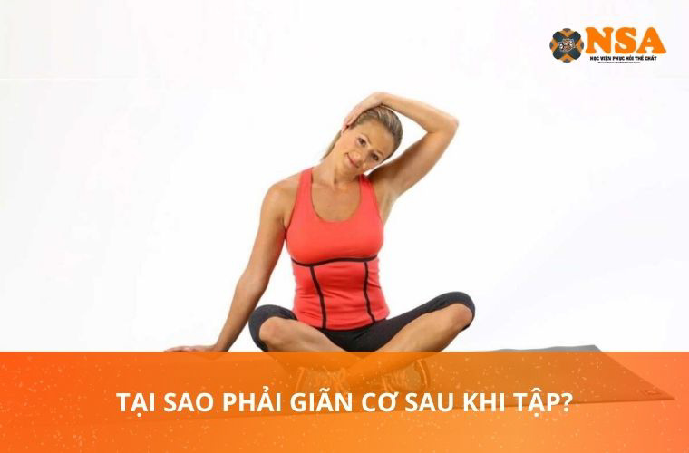 Tại sao phải giãn cơ sau khi tập: Có thể bạn chưa